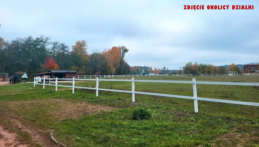 Działka leśna Kępa. Zdjęcie 12