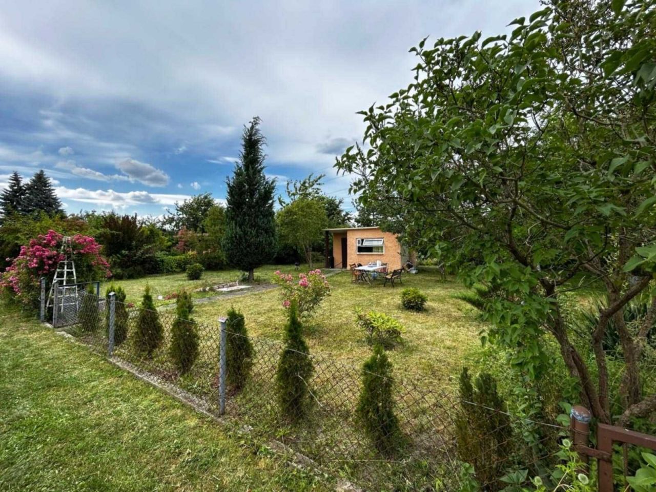 Działka rod Osiek. Zdjęcie 2