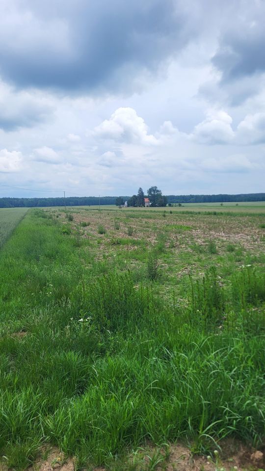 Działka rolna Andryjanki. Zdjęcie 2