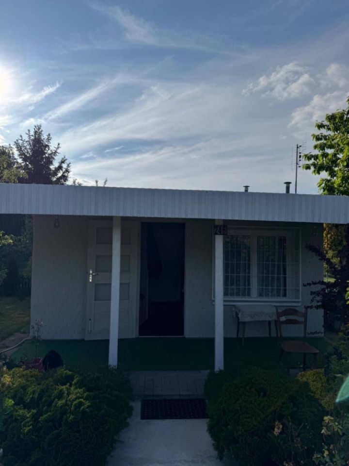 Działka rod Ostrzeszów