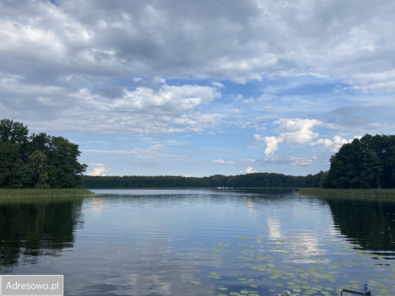 Działka rolna Liksajny. Zdjęcie 12