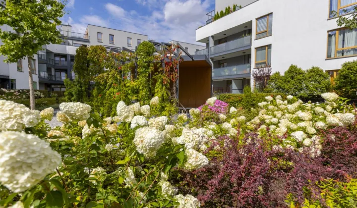 Mieszkanie 3-pokojowe Warszawa Wilanów, al. Rzeczypospolitej