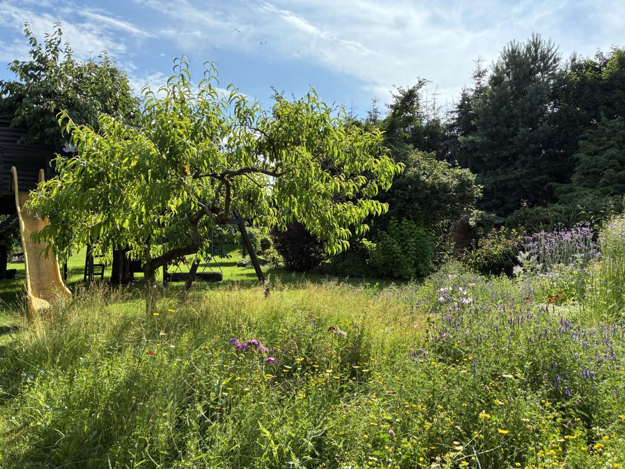 Działka rolno-budowlana Jerzyn. Zdjęcie 12