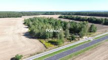 Działka inwestycyjna Dąbrowa Bolesławiecka. Zdjęcie 4