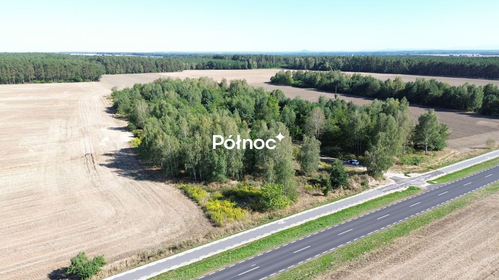 Działka inwestycyjna Dąbrowa Bolesławiecka. Zdjęcie 6