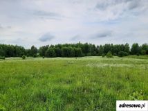 Działka rolna Krekole. Zdjęcie 2