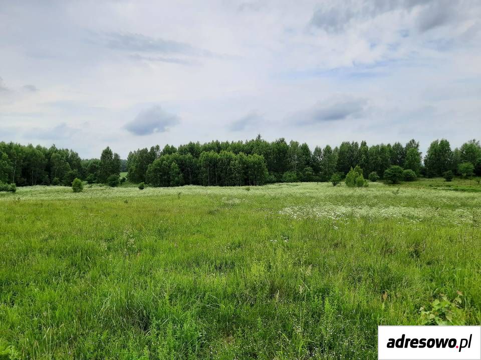 Działka rolna Krekole. Zdjęcie 3