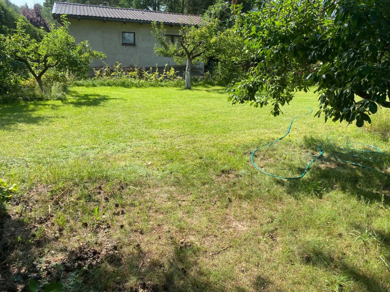 Działka rod Poznań Grunwald. Zdjęcie 2