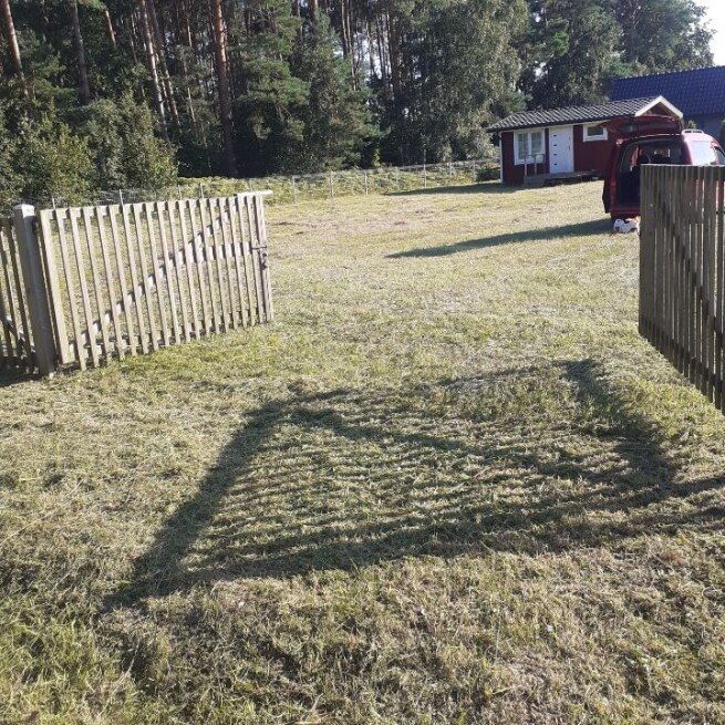 Działka rolno-budowlana Połchowo. Zdjęcie 1