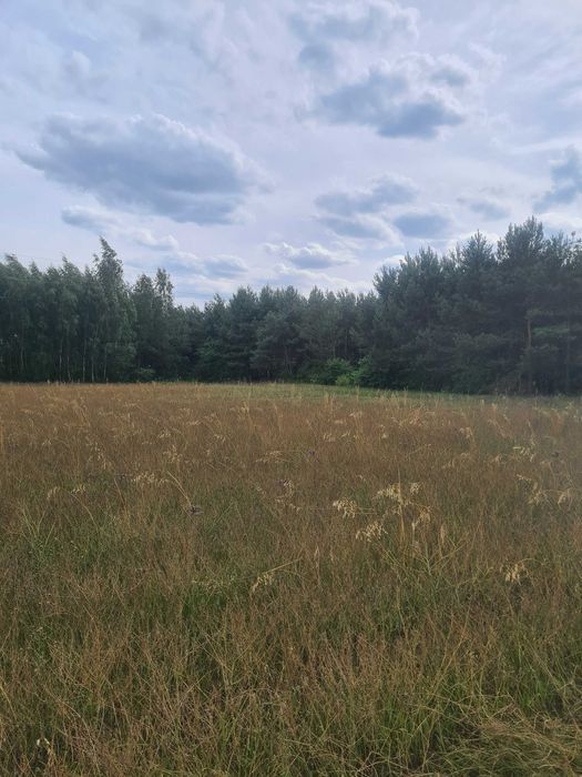 Działka budowlana Rachcin. Zdjęcie 6