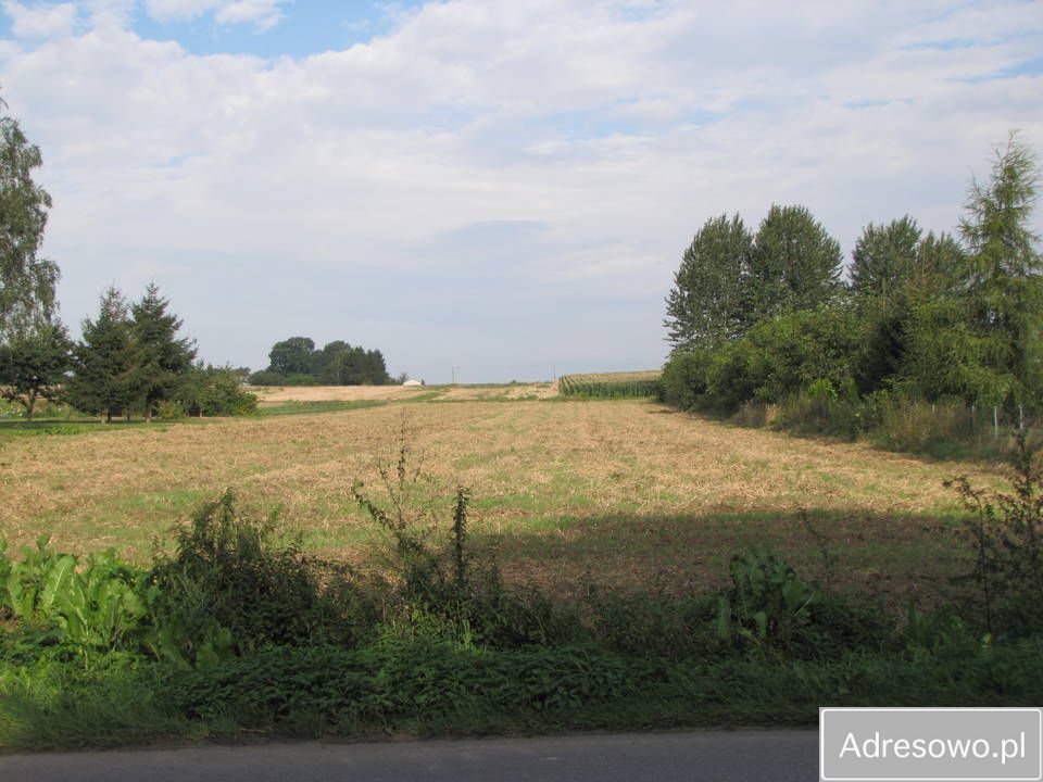 Działka rolno-budowlana Charlęż. Zdjęcie 3