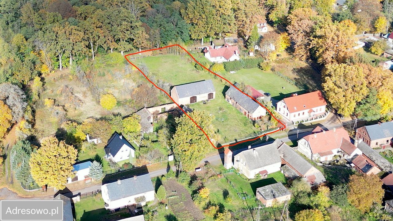 Działka rolno-budowlana Grabin. Zdjęcie 8