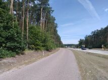 Działka inwestycyjna Młodzieszyn Młodzieszyn-Osada, ul. Wyzwolenia. Zdjęcie 3