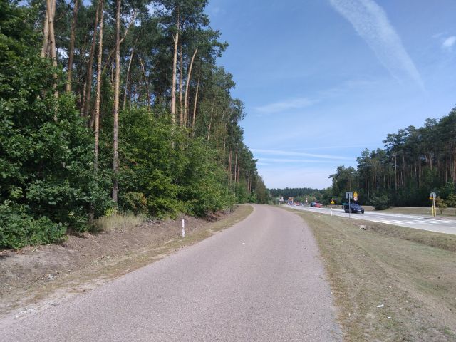 Działka inwestycyjna Młodzieszyn Młodzieszyn-Osada, ul. Wyzwolenia. Zdjęcie 4