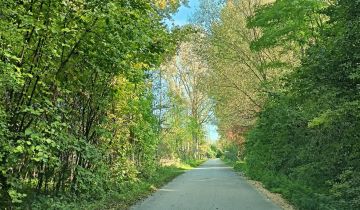 Działka rolno-budowlana Pasturka Krzywda