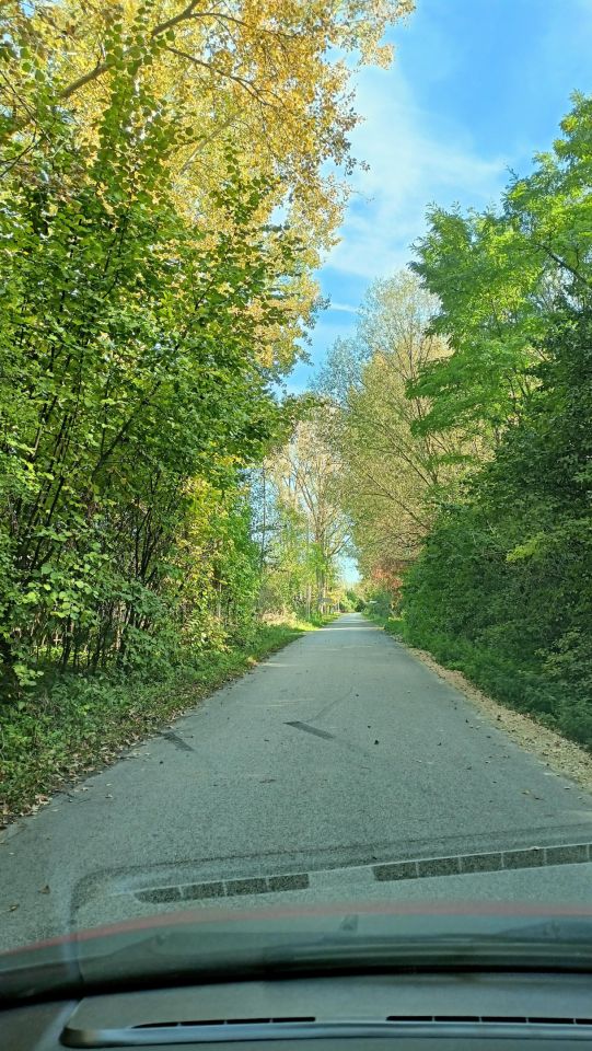 Działka rolno-budowlana Pasturka Krzywda. Zdjęcie 2