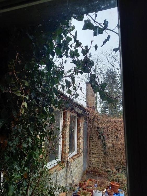 dom wolnostojący, 1 pokój Janiszowice. Zdjęcie 5