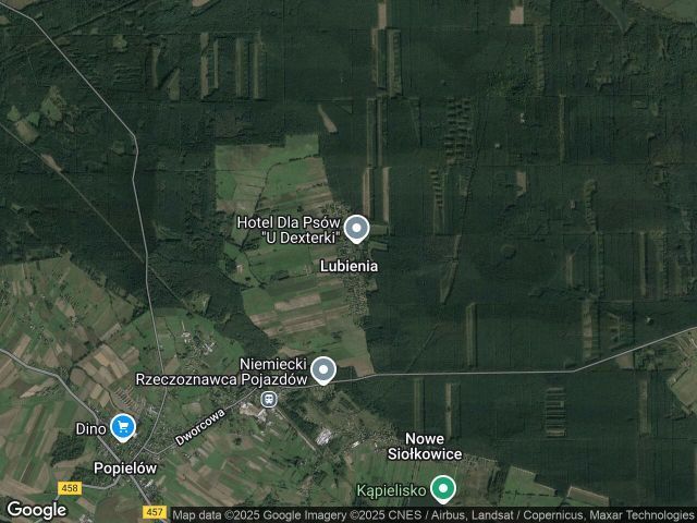 Działka rolna Lubienia. Zdjęcie 1