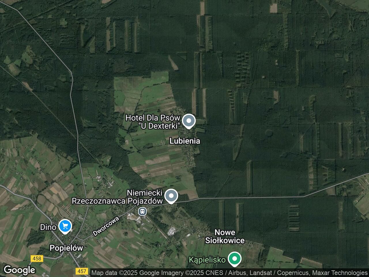 Działka rolna Lubienia