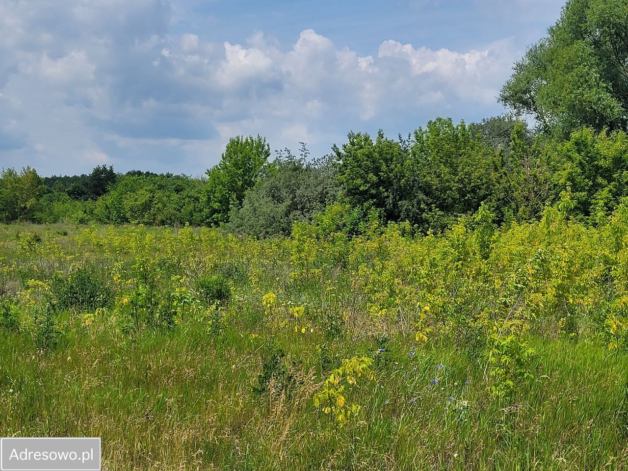 Działka inwestycyjna Białystok Krywlany. Zdjęcie 3