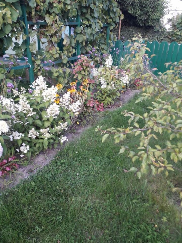 Działka rod Gorzów Wielkopolski, ul. Srebrna. Zdjęcie 2