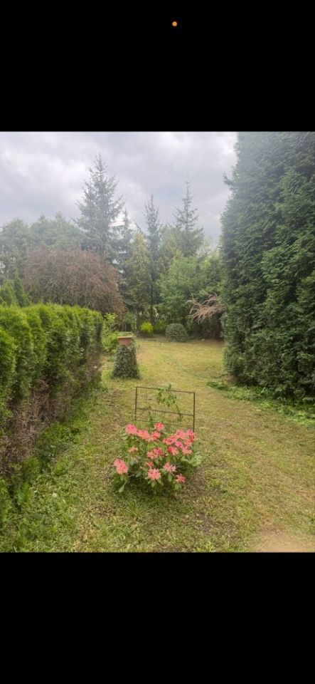 dom wolnostojący Sosnowiec Zagórze. Zdjęcie 5