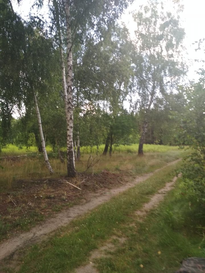 Działka rekreacyjna Rumunki Tupadelskie. Zdjęcie 3