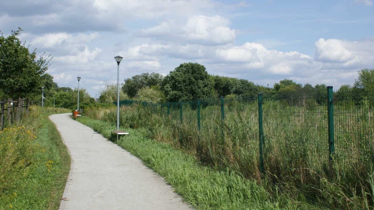 Działka budowlana Mosina. Zdjęcie 5