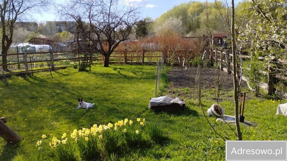 Działka rod Lublin Kalinowszczyzna, ul. Zawilcowa. Zdjęcie 6