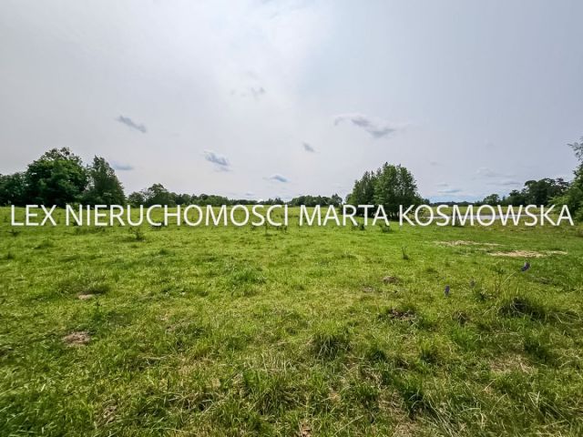 Działka rolna Wejdyki. Zdjęcie 10