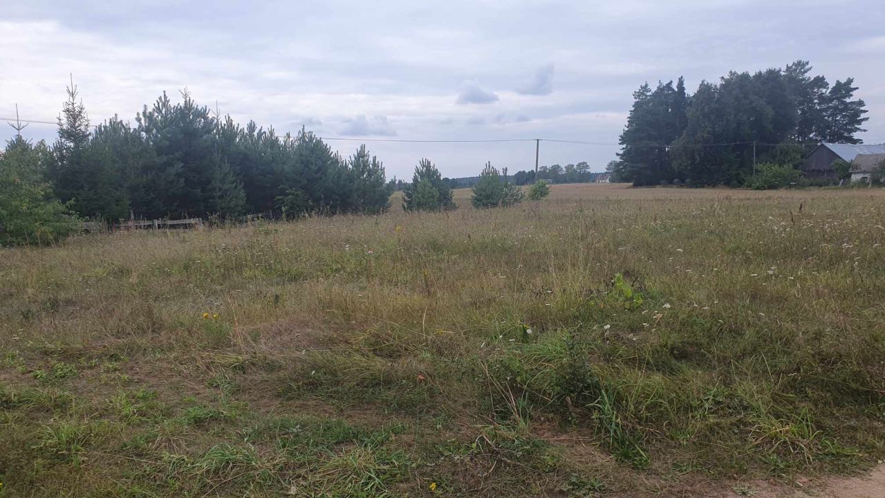 Działka rekreacyjna Berżałowce. Zdjęcie 6