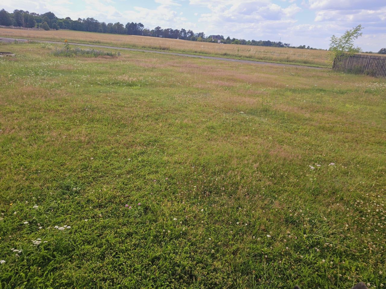 Działka budowlana Wykroty, ul. Kwiatowa. Zdjęcie 7