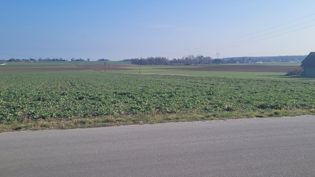 Działka budowlana Łabuńki Pierwsze. Zdjęcie 5