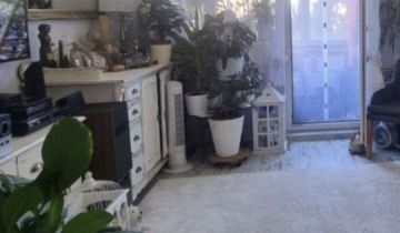 Mieszkanie 3-pokojowe Jelenia Góra Cieplice Śląskie-Zdrój