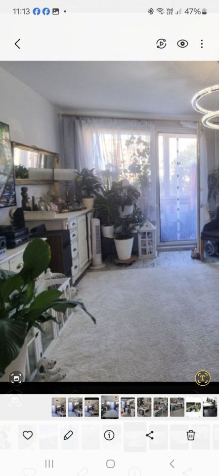 Mieszkanie 3-pokojowe Jelenia Góra Cieplice Śląskie-Zdrój. Zdjęcie 2