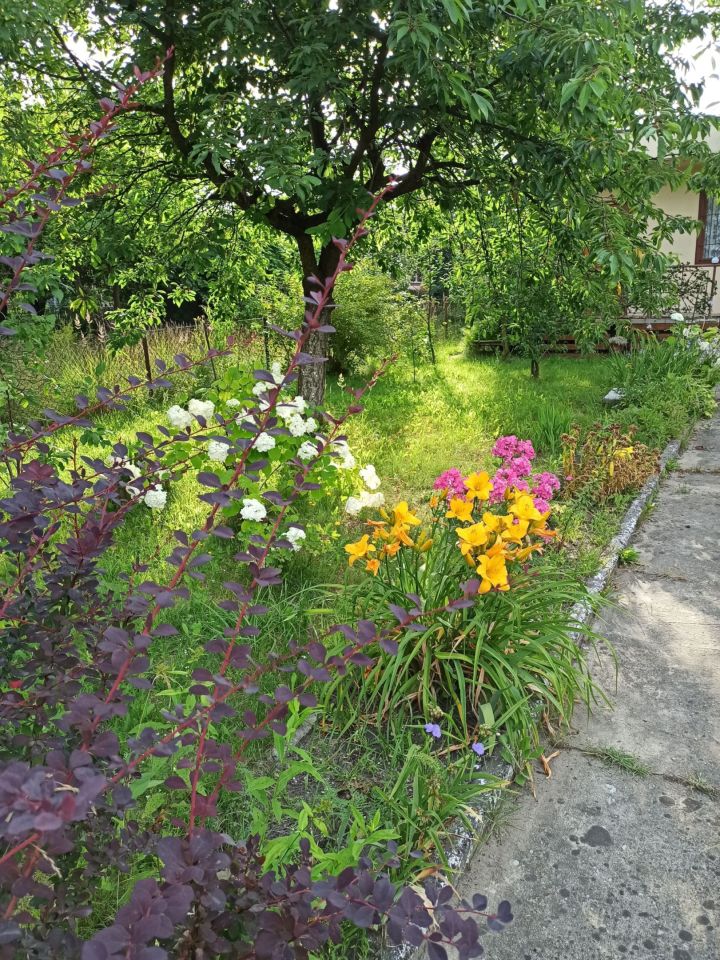 Działka rod Sosnowiec Środula, ul. gen. Mariusza Zaruskiego. Zdjęcie 3