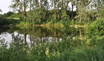 Działka rekreacyjna Pawłowice