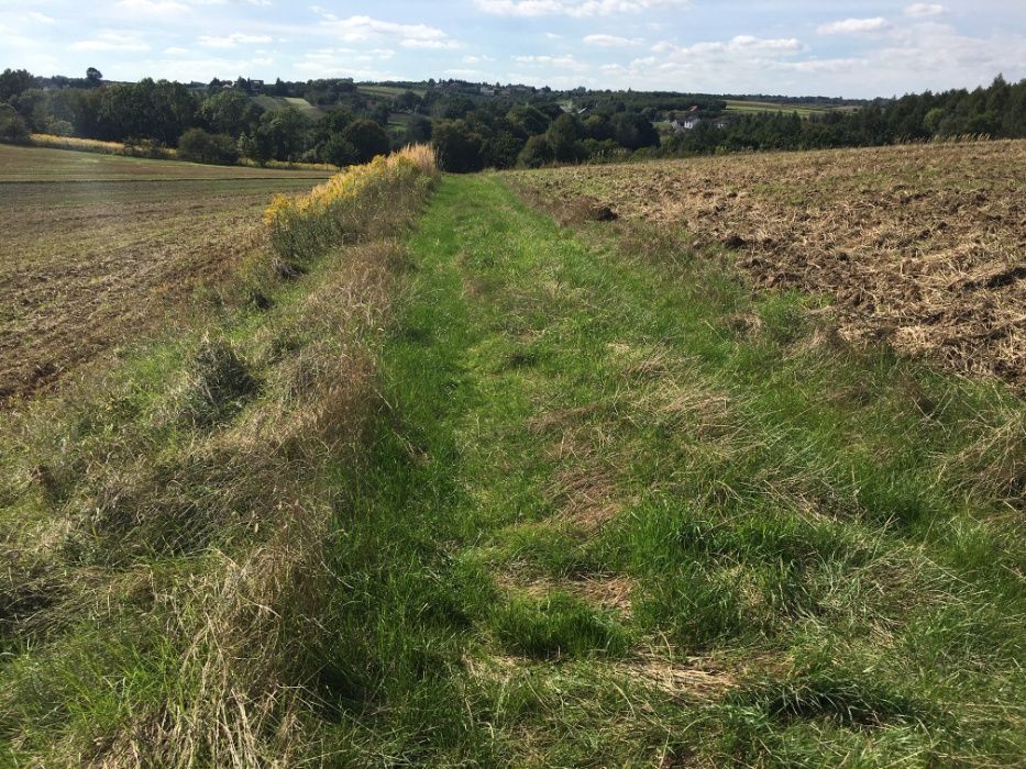 Działka rolna Maszków. Zdjęcie 12