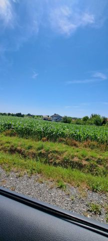 Działka rolno-budowlana Rudnik, ul. Powstańców Śląskich. Zdjęcie 1