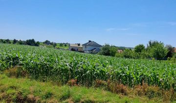 Działka rolno-budowlana Rudnik, ul. Powstańców Śląskich