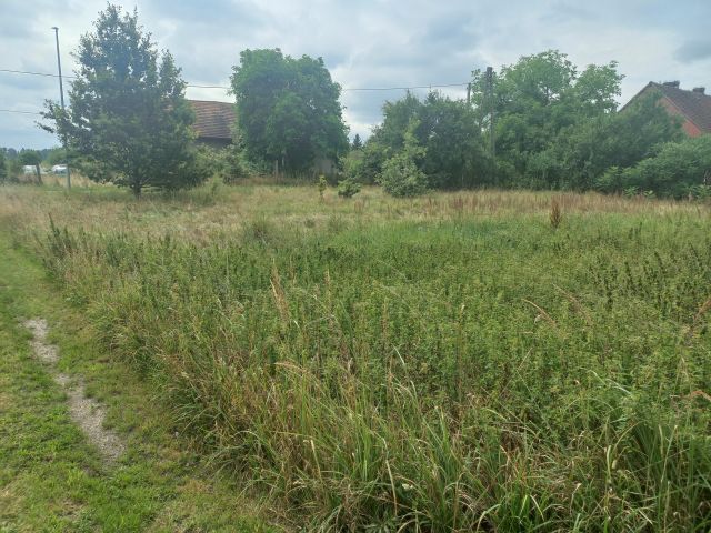 Działka budowlana Konin Żagański. Zdjęcie 1