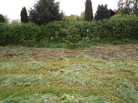 Działka budowlana Gostyń. Zdjęcie 7