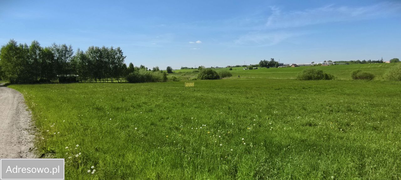Działka budowlana Wielki Klincz. Zdjęcie 3