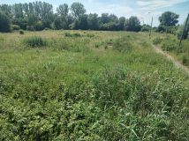 Działka inwestycyjna Gronowo Górne, ul. Berylowa. Zdjęcie 1
