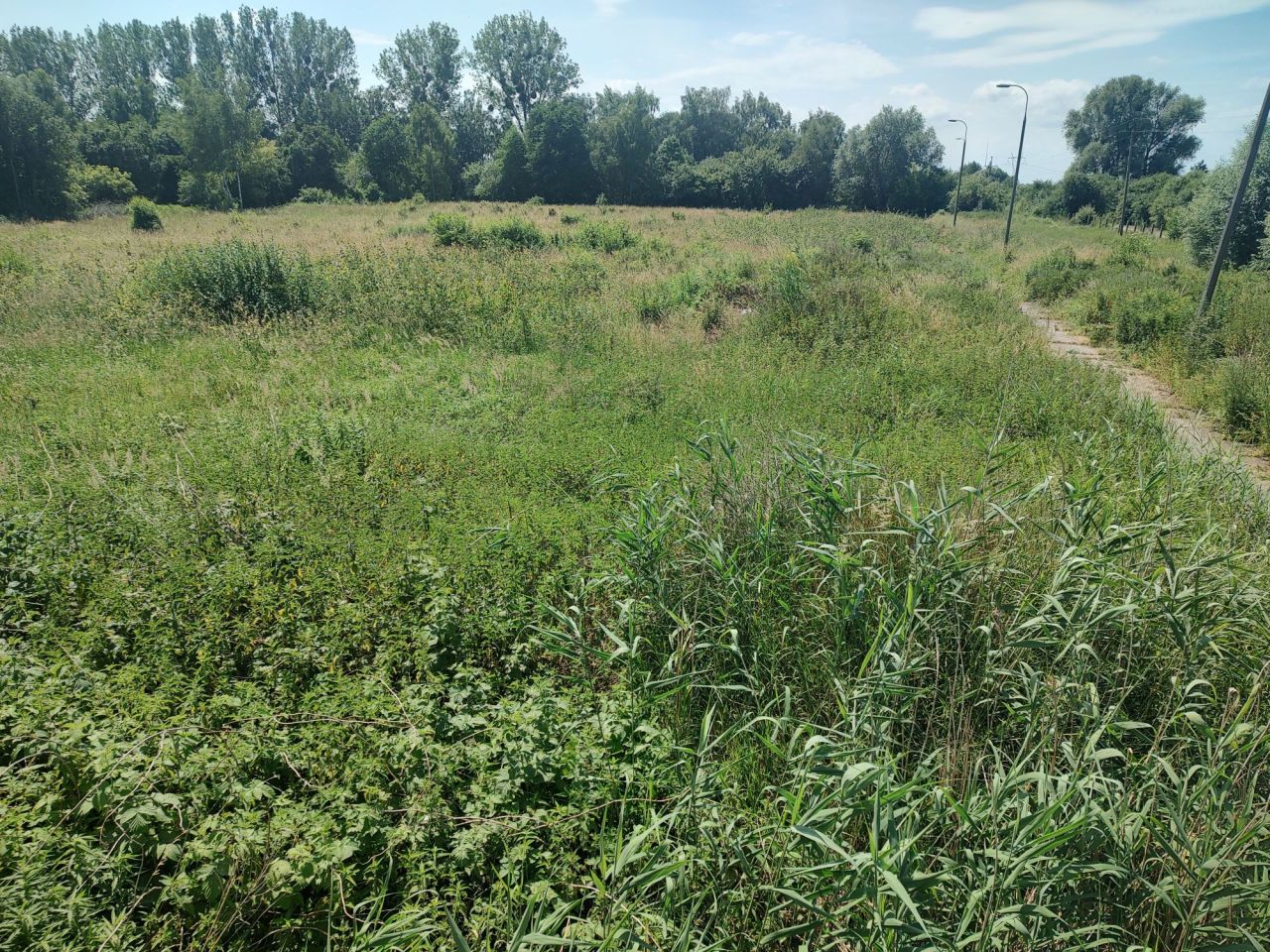 Działka inwestycyjna Gronowo Górne, ul. Berylowa. Zdjęcie 2