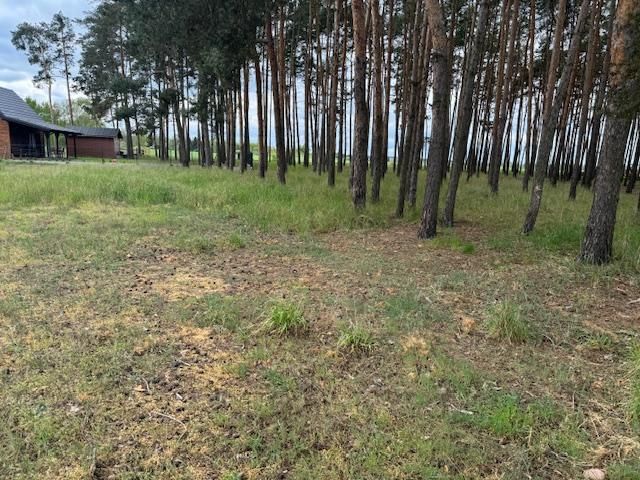 Działka budowlana Boszkowo-Letnisko. Zdjęcie 6