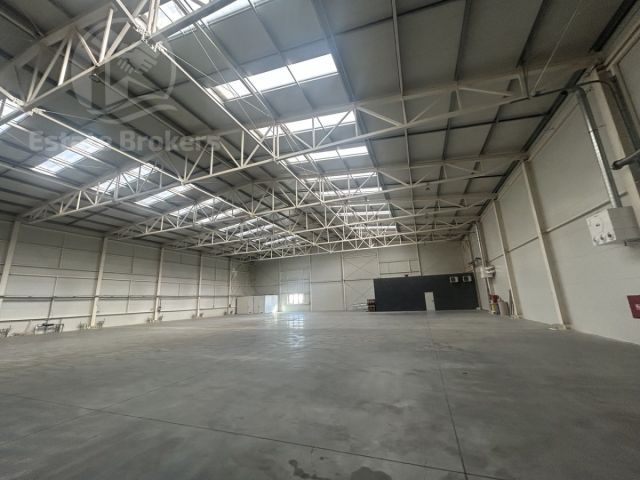 Lokal Szewce. Zdjęcie 4