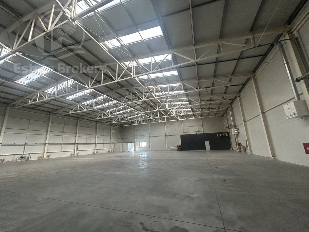 Lokal Szewce. Zdjęcie 4