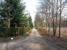 Działka leśna Władysławów, ul. Brzozowa. Zdjęcie 3