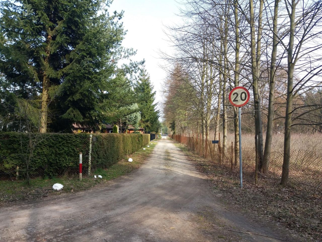 Działka leśna Władysławów, ul. Brzozowa. Zdjęcie 4